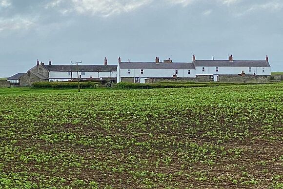 Darling Cottage