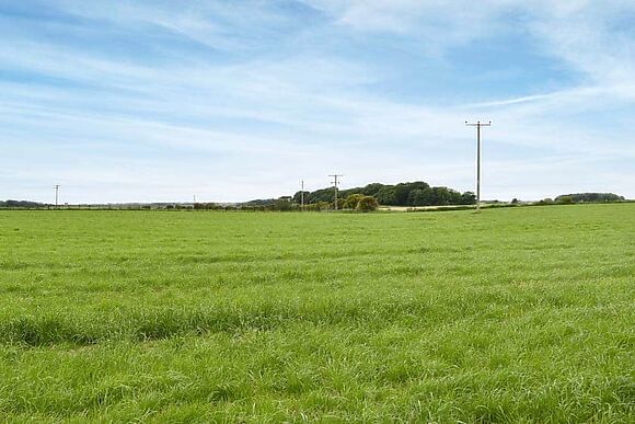 Chellow Dene in Singleton