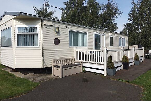Silver Birch in Felton