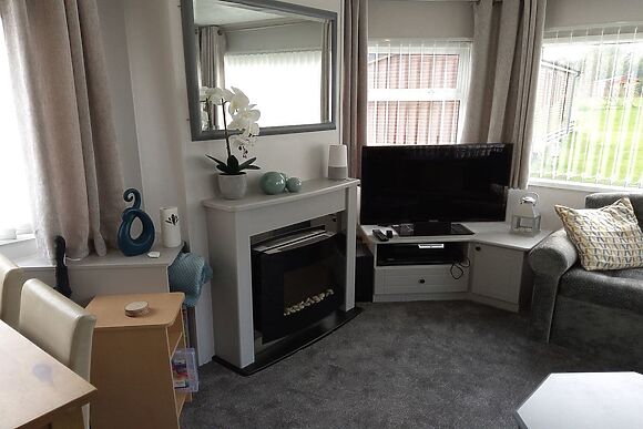 Silver Birch in Felton