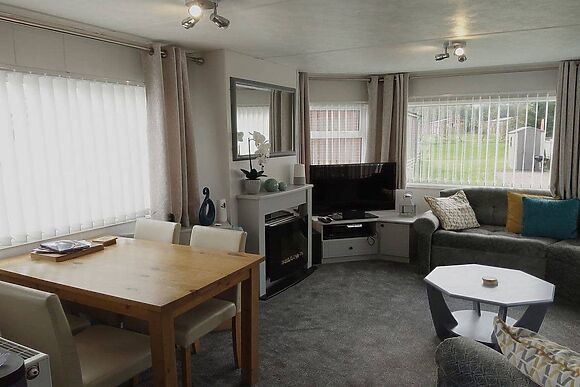 Silver Birch in Felton