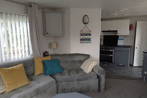 Silver Birch in Felton