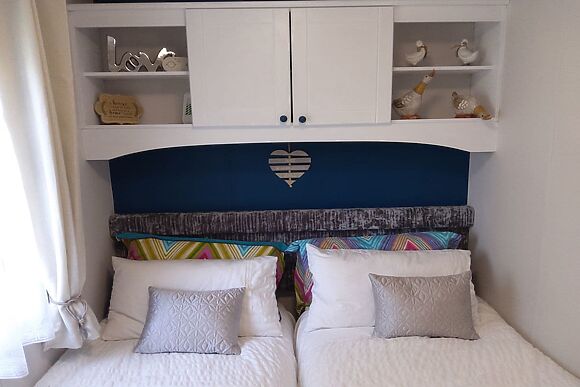 Silver Birch in Felton