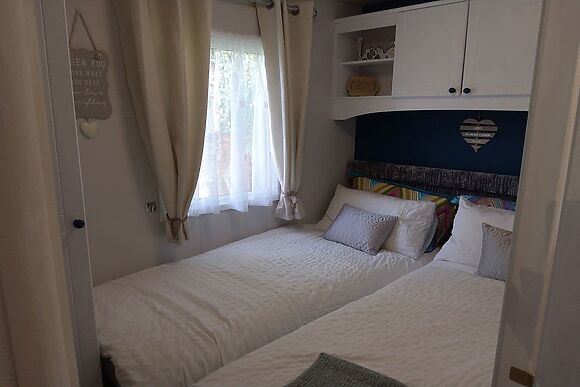 Silver Birch in Felton