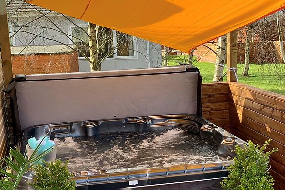 Silver Birch in Felton