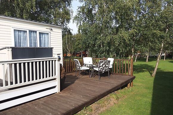 Silver Birch in Felton