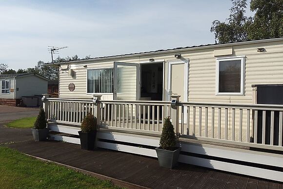 Silver Birch in Felton