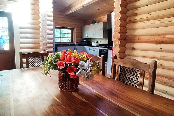 Gingerbread Log Cabin in Felton