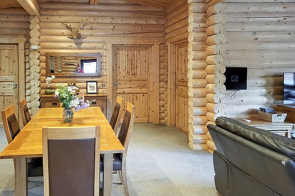 Tyne Log Cabin in Felton