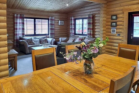 Tyne Log Cabin in Felton