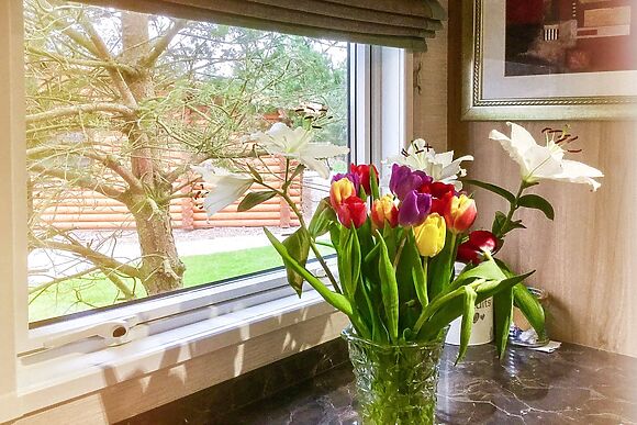 Mia’s Place in Felton