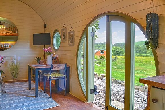 Bracken at Freedom Fields