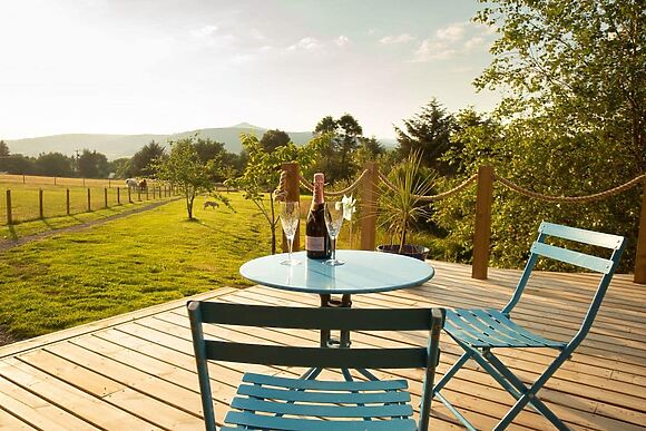 The Lily Pod in Abergavenny