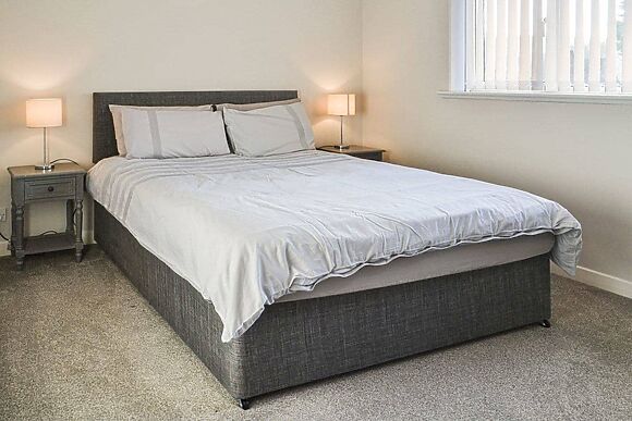 Cheviot in Walkington