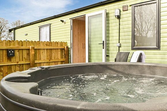 Beech Tree in Brocklebank