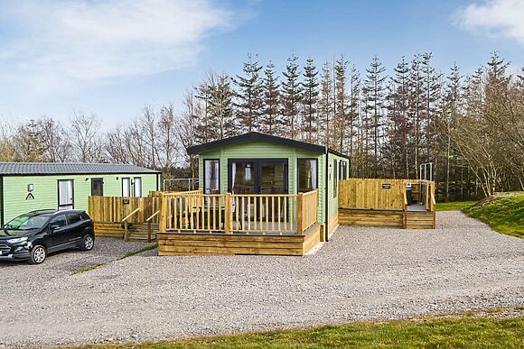 Beech Tree in Brocklebank