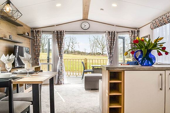 Beech Tree in Brocklebank