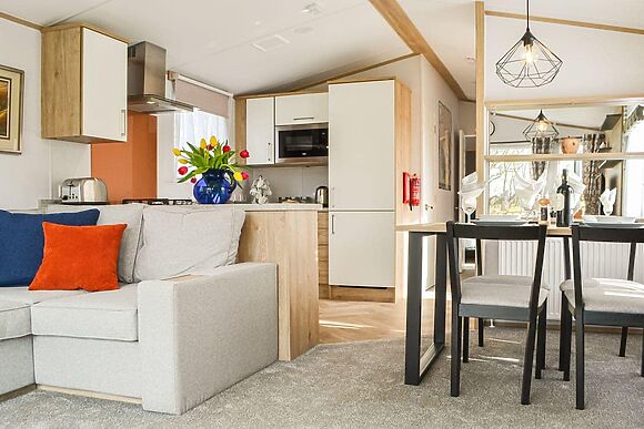 Beech Tree in Brocklebank