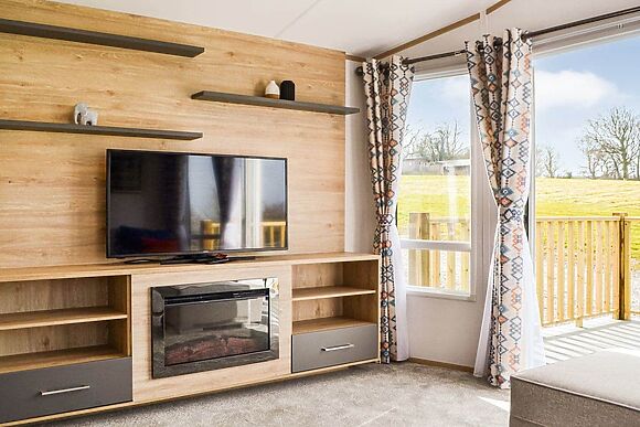 Beech Tree in Brocklebank