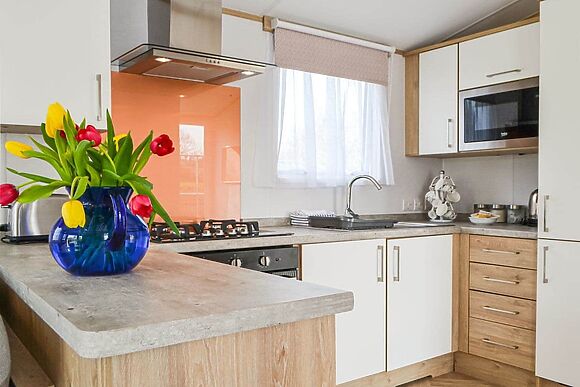 Beech Tree in Brocklebank