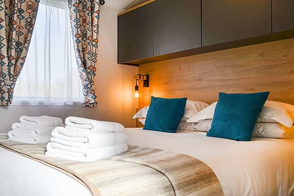 Beech Tree in Brocklebank