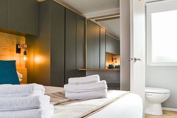 Beech Tree in Brocklebank