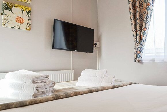 Beech Tree in Brocklebank