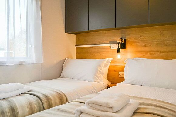 Beech Tree in Brocklebank