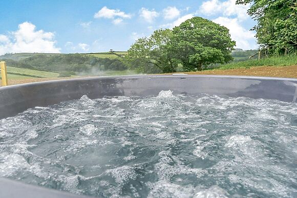 Gwennol at Llain Farm