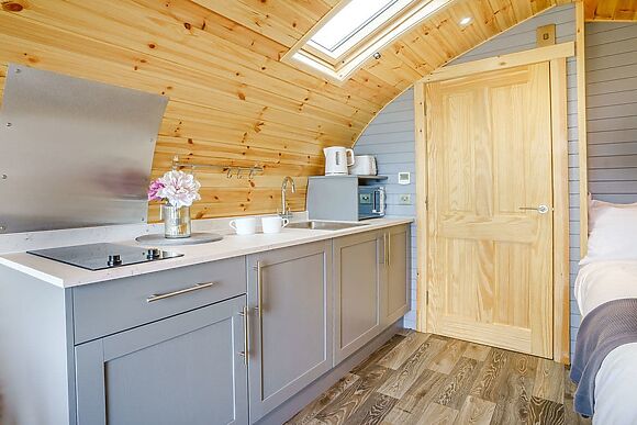 Barcud at Llain Farm