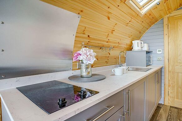 Barcud at Llain Farm