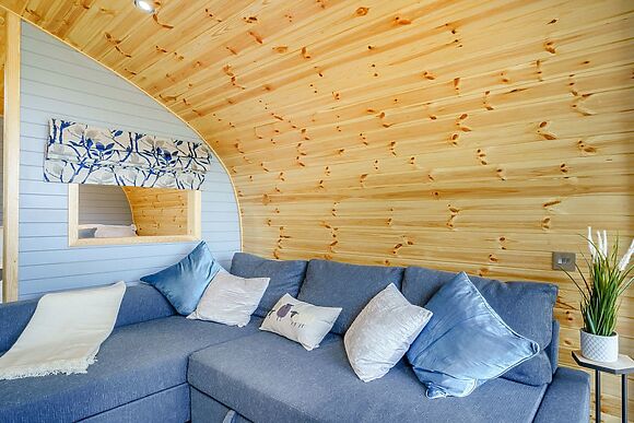 Barcud at Llain Farm