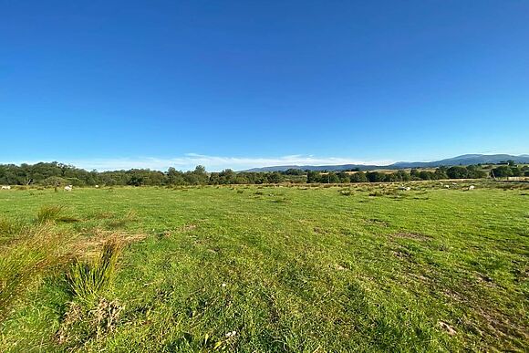 Gartclach At Gartclach Farm