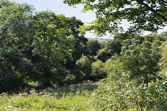 Coachmans Cottage in Fernilee