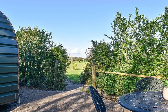 Privet Pod at Stuarts Farm