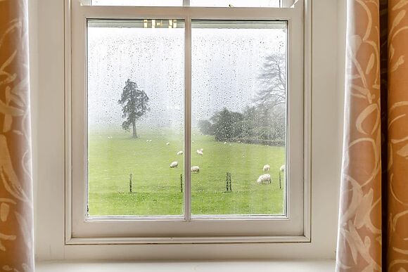 Brynog Mansion Apartment