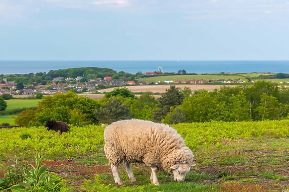 Robin’s Retreat in Kelling Heath