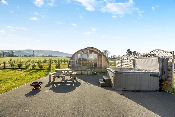Primrose at Llawrllan