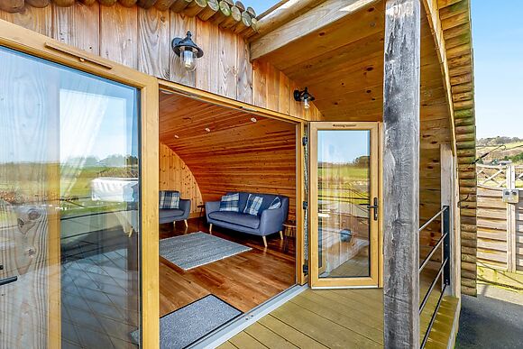 Primrose at Llawrllan