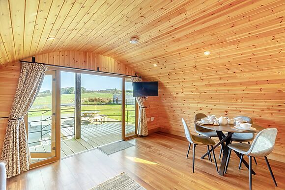 Primrose at Llawrllan