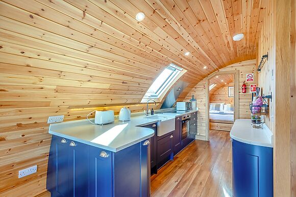 Primrose at Llawrllan