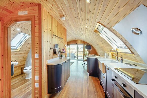 Primrose at Llawrllan