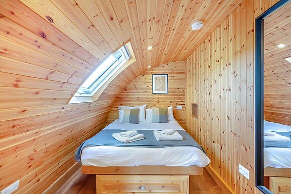 Primrose at Llawrllan