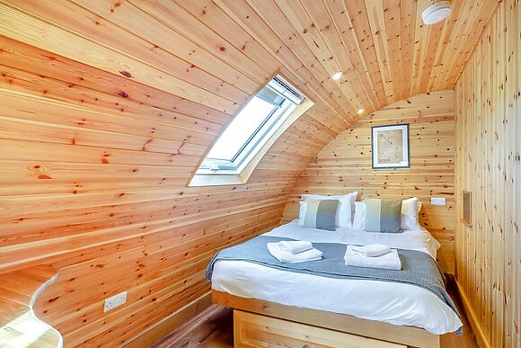 Primrose at Llawrllan