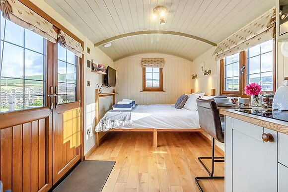 Mayflower at Llawrllan