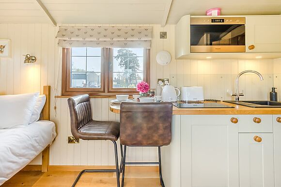 Mayflower at Llawrllan