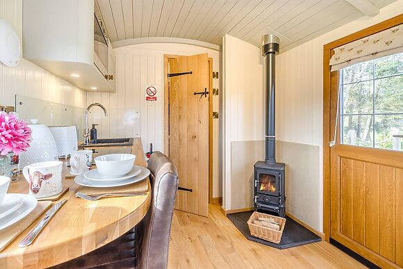 Mayflower at Llawrllan