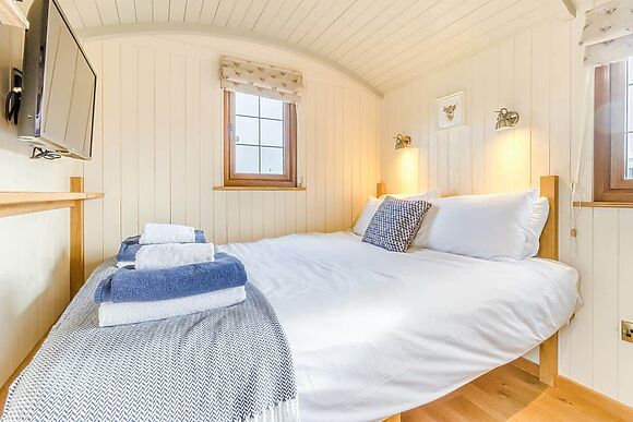 Mayflower at Llawrllan