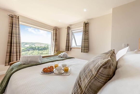 Llwynblyfyn in Llansawel