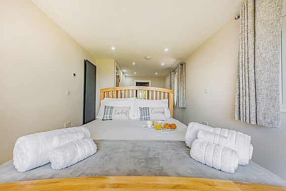 Llwynblyfyn in Llansawel